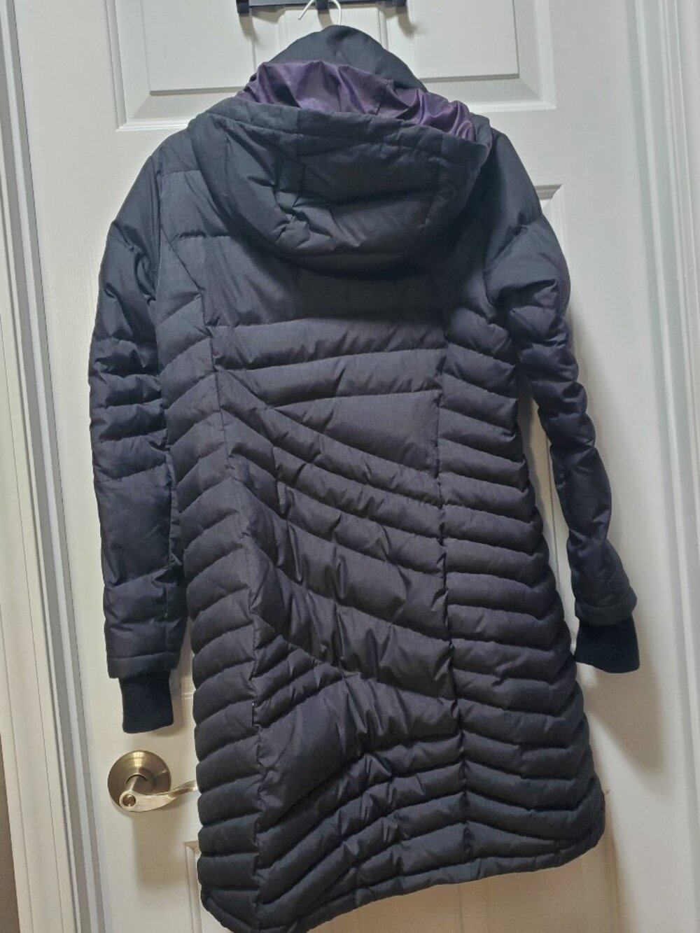 Basin + Range Evergreen Quilted Coat | Small - Picture 3 of 8